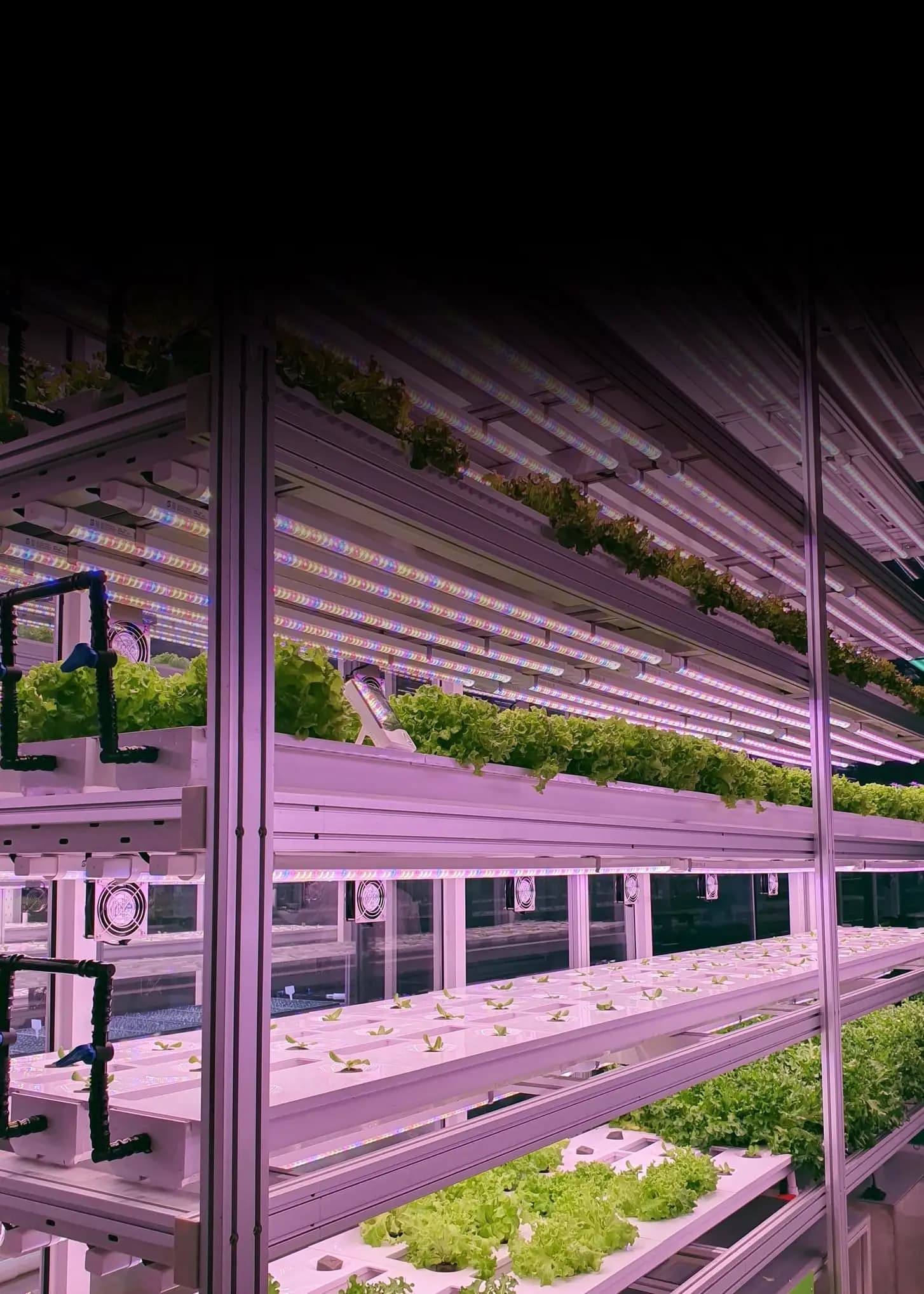 Écosystème modulaire Symphoni